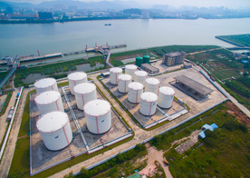 ��ɽʢ���Ϳ�